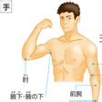 腋下 読み方|「腋下(エキカ)」の意味や使い方 わかりやすく解説 Weblio辞書